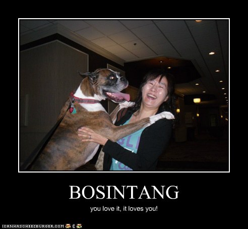 bosintang.jpg