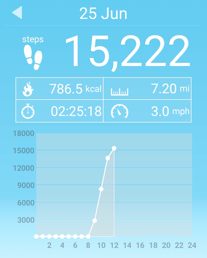 Not a bad mornings work considering I didn't have the proper footwear and my heel was screaming with every step...