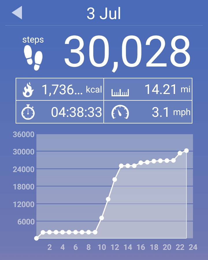 And the only way I managed that was 2000 steps walking home from the bar on Saturday night, plus some steps I got in during the dart tourney. And yes, I took a round about way home after darts so I could break the 30,000 barrier...