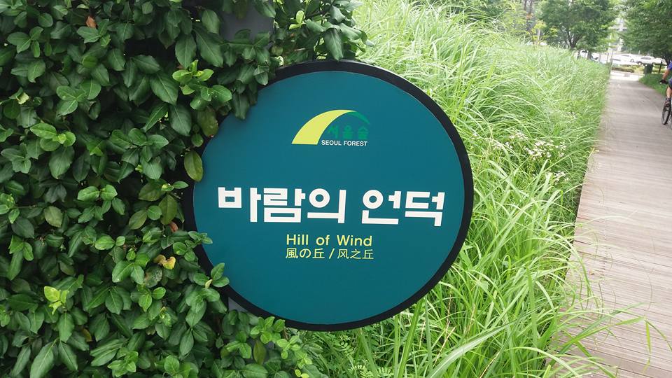 ...Seoul Forest. It was nice to see they had a designated farting area...