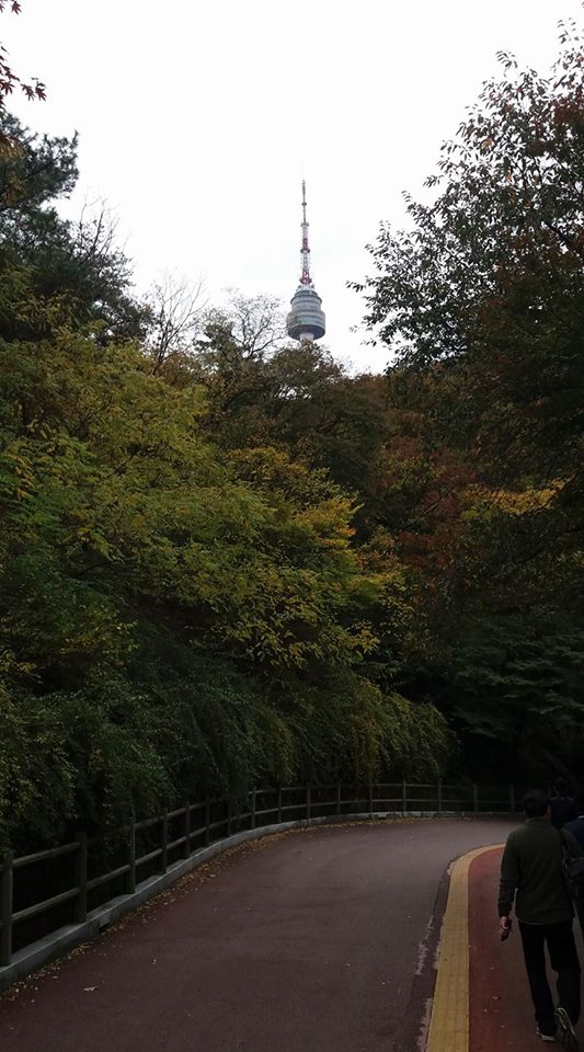 I'm running out of new angles from which to photograph Seoul Tower...